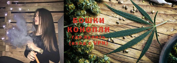 ALPHA-PVP Гусев