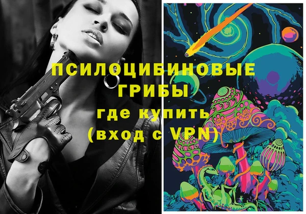бошки Гусь-Хрустальный
