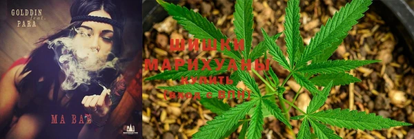 бошки Гусь-Хрустальный
